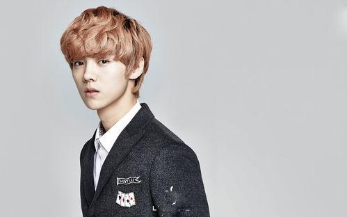 鹿晗新闻爆料视频播放下载,揭秘幕后真相 第1张 鹿晗新闻爆料视频播放下载,揭秘幕后真相 第1张